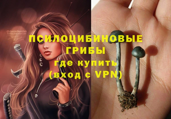 крисы Арсеньев